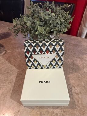 Prada Cream Box with Geometric Multicolor Sleeve